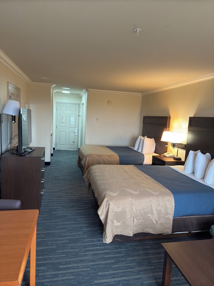 Ocean Paradise Hotel & Resort - photo 18