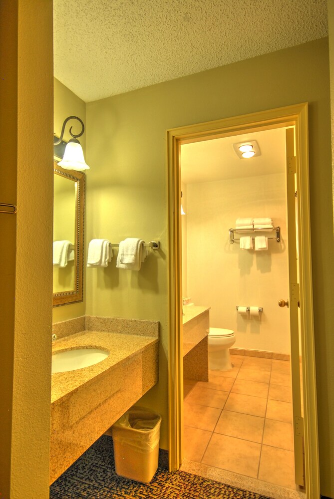 Quality Inn Big Sky - photo 30