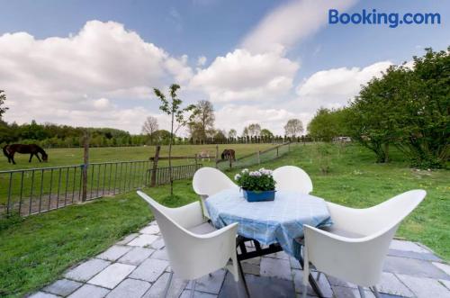 Farm Stay Luythoeve in Liege, Belgium