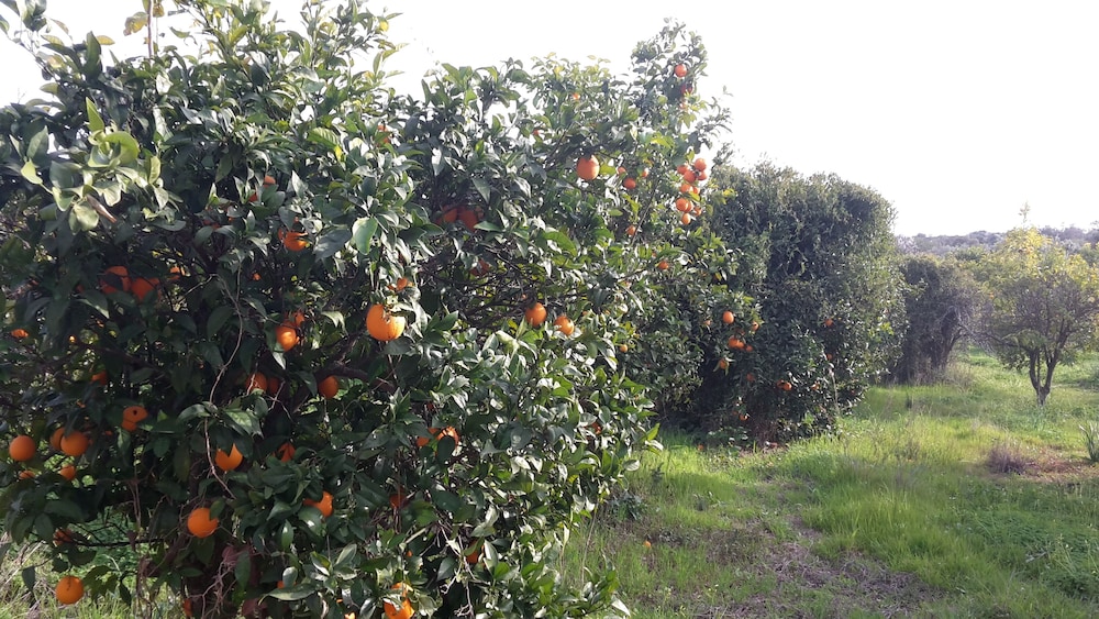 Quinta das Barradas in Lagos, Portugal