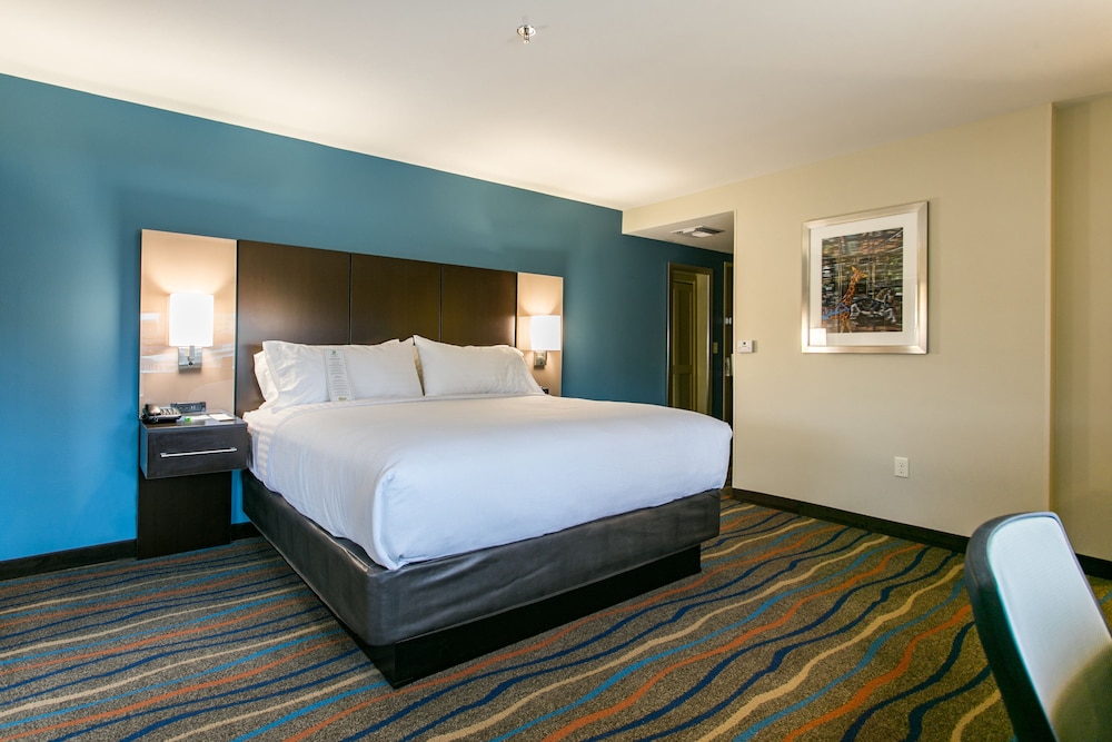 Holiday Inn Hotel & Suites Chattanooga Downtown by IHG - photo 16