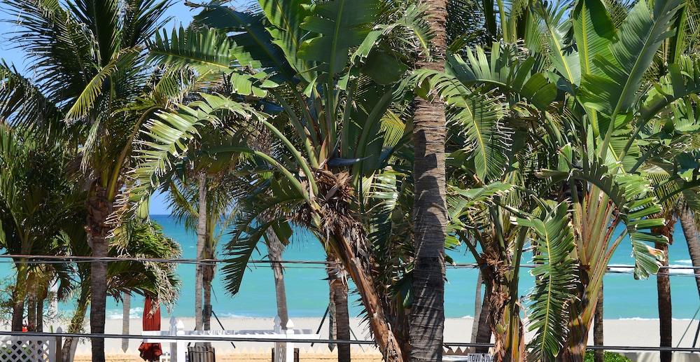 Hollywood by the Sea Hotel - photo 73