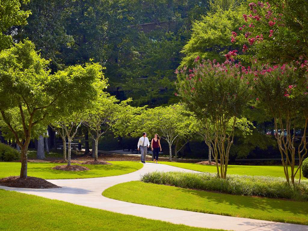 Sonesta Gwinnett Place Atlanta - photo 13