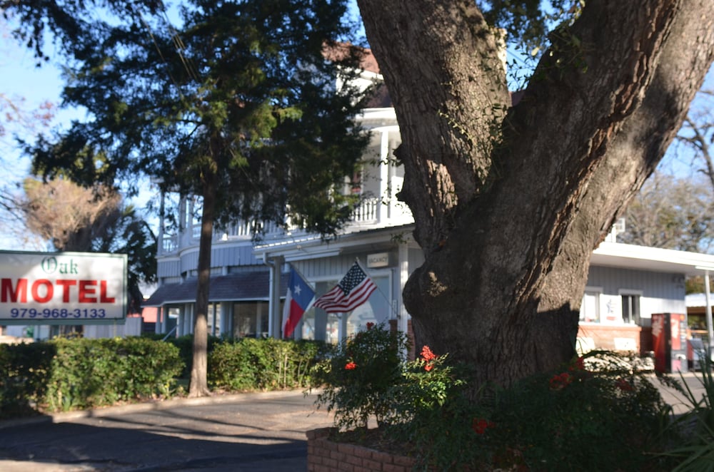The Oak Motel - photo 47