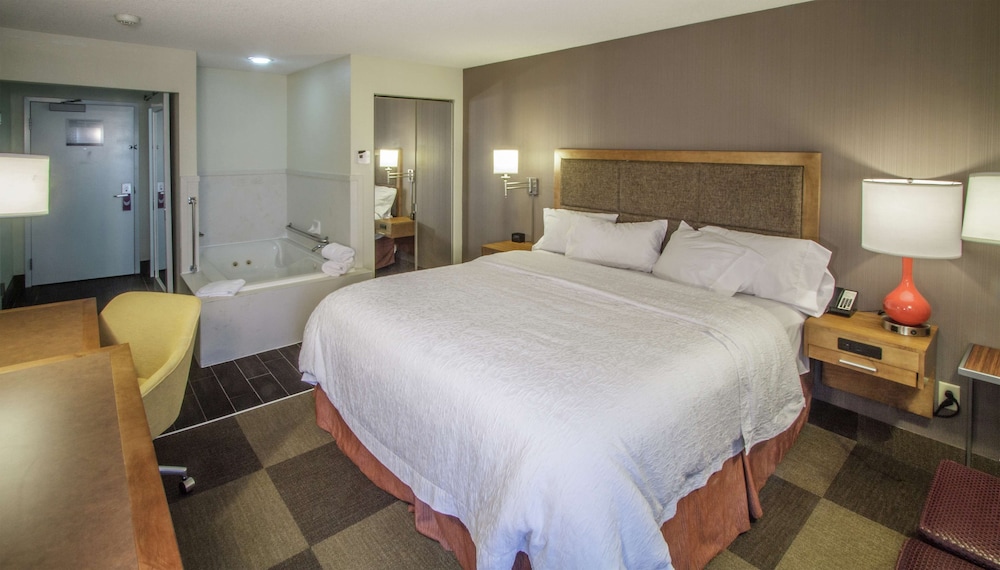 Hampton Inn South Haven - photo 16