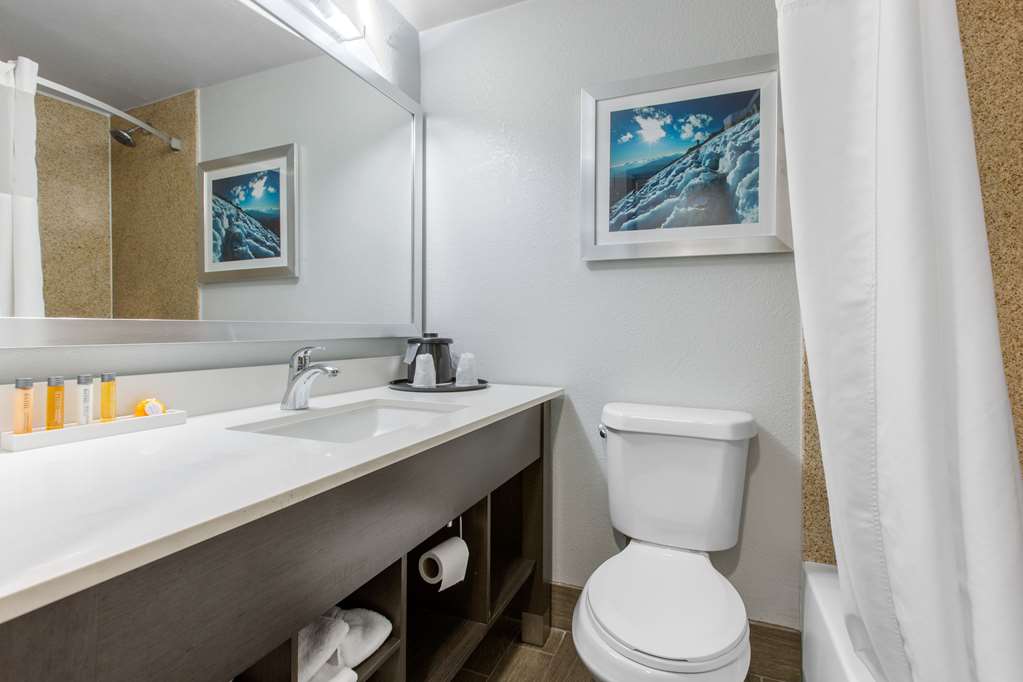 Cielo Hotel Bishop Mammoth an Ascend Collection Hotel - photo 26
