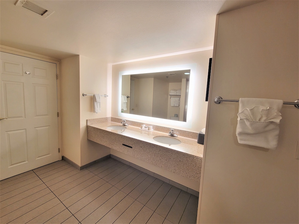 Holiday Inn & Suites Ann Arbor Univ Michigan Area by IHG - photo 26