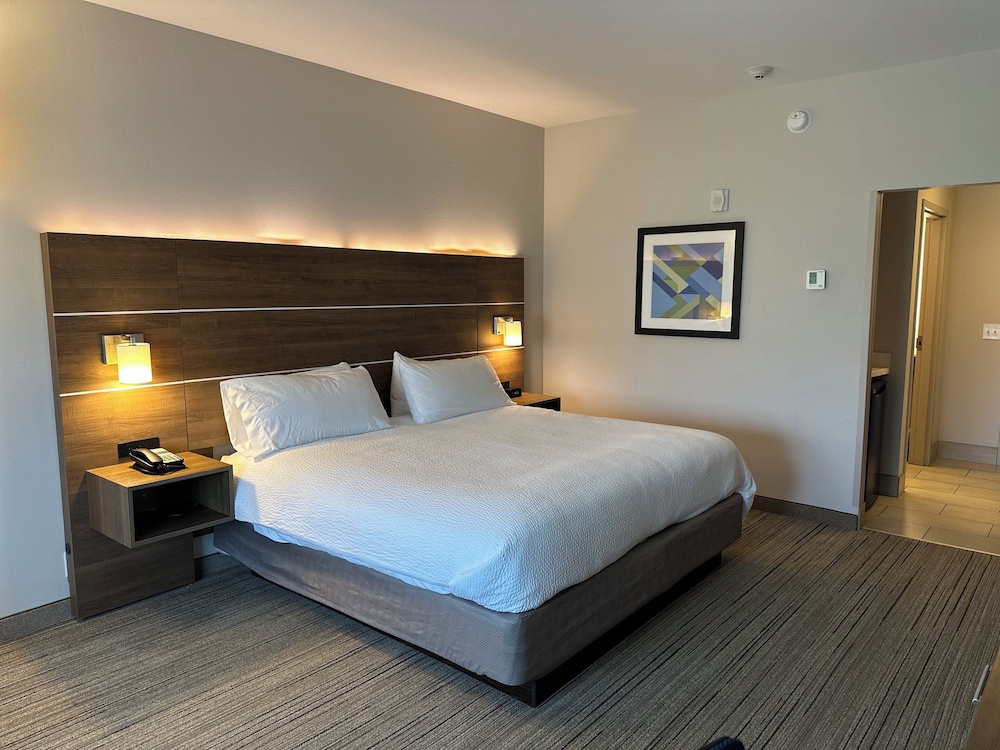 Holiday Inn Express and Suites Macon North - photo 15