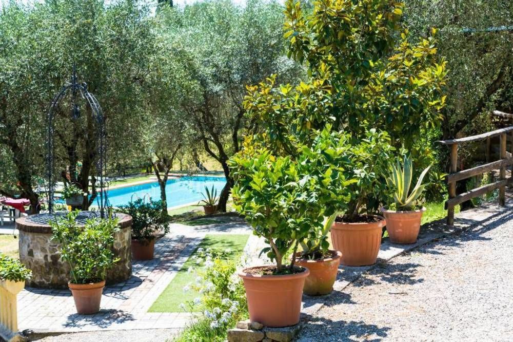 La Collina del Sole — Capannori — photo 3