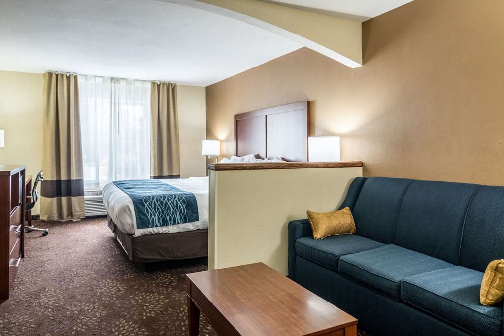 Comfort Inn & Suites Hannibal - photo 21