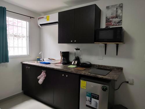 apartamentito tipo estudio AMUEBLADO tranquilo y acogedor cocina y baño privado independiente en CHANIS cerca de Costa del este — hotel near Tocumen International Airport