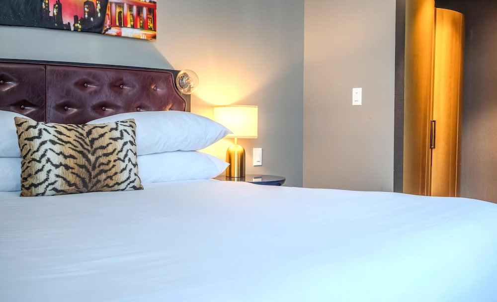The Radical Asheville Tapestry Collection by Hilton - photo 24