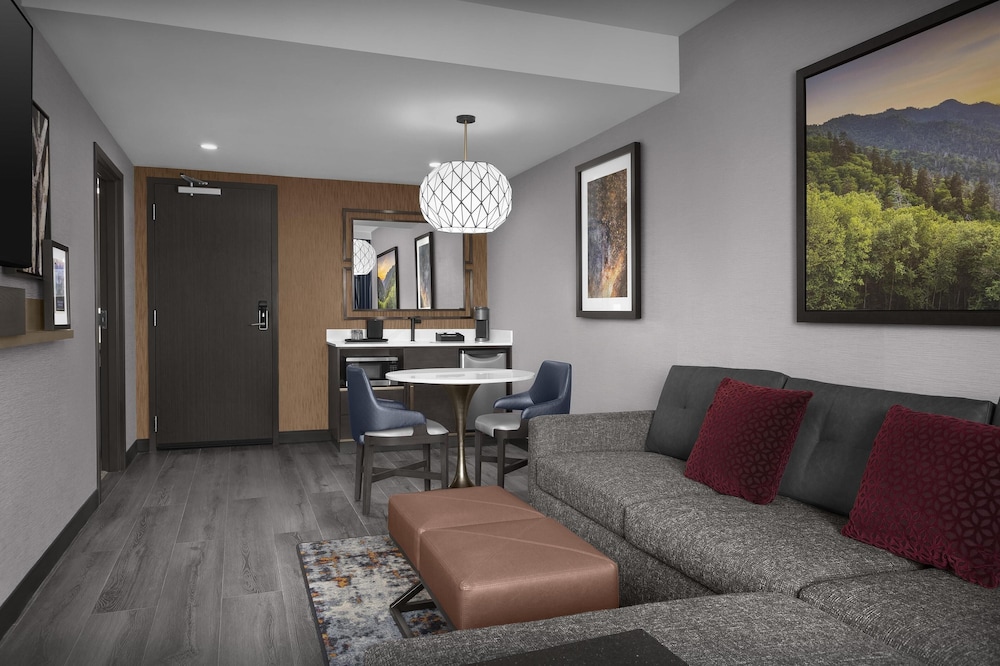 Embassy Suites by Hilton Pigeon Forge Resort - photo 20