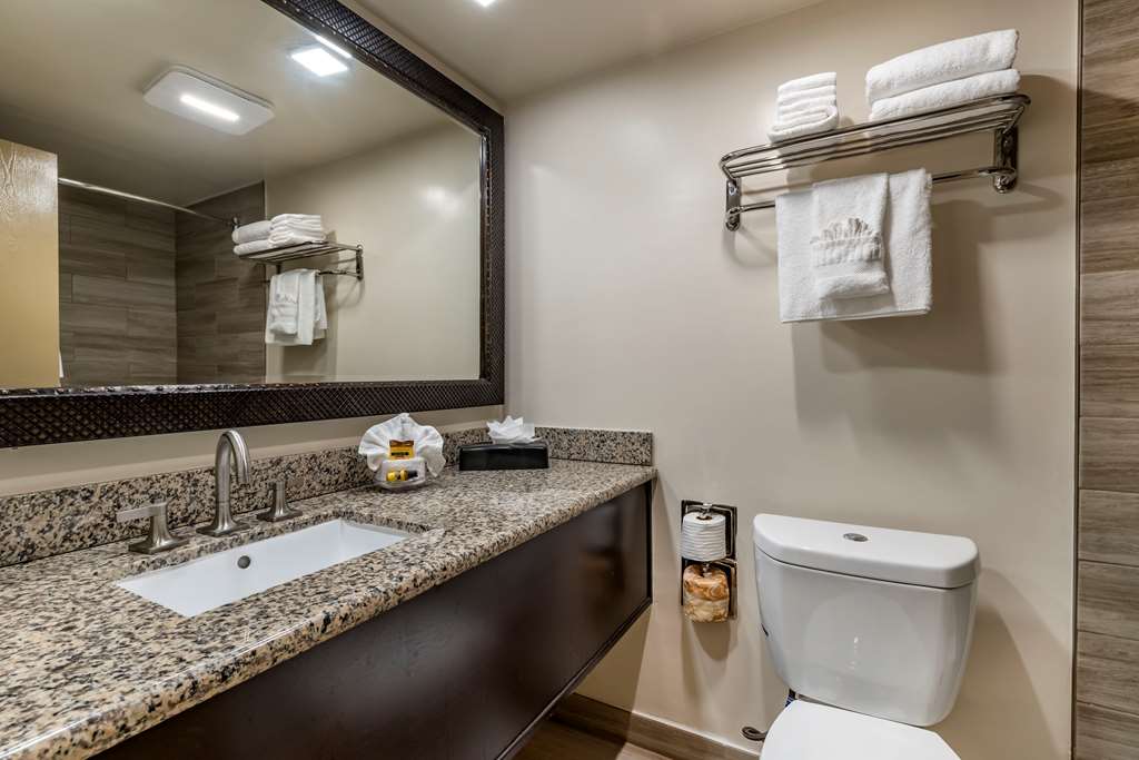 Best Western Plus South Bay Hotel - photo 29