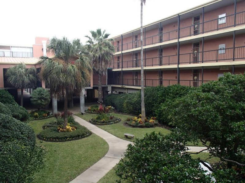 The Victorian Condo Hotel - photo 8