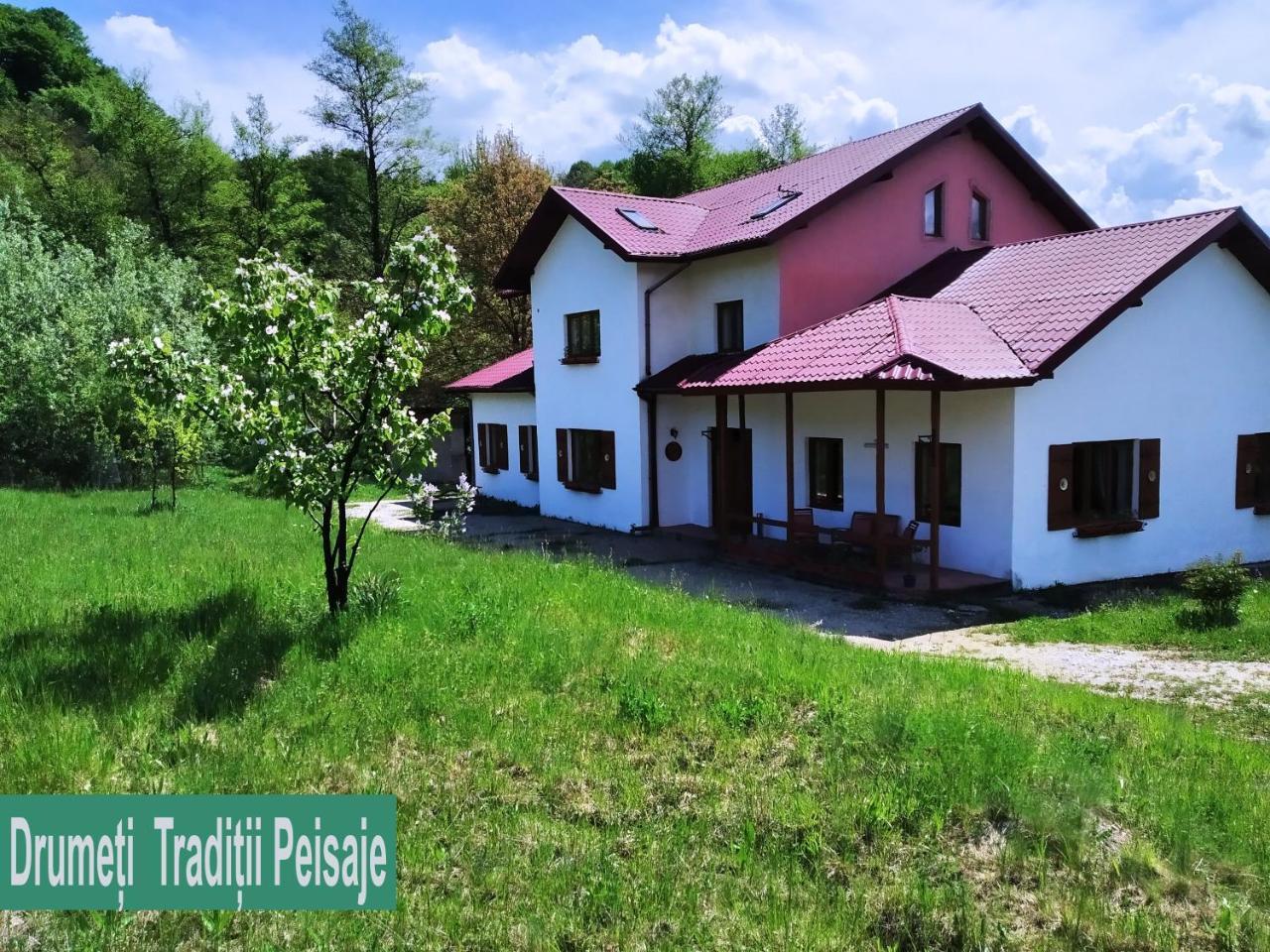 La Trovantzi in Ramnicu Valcea, Romania