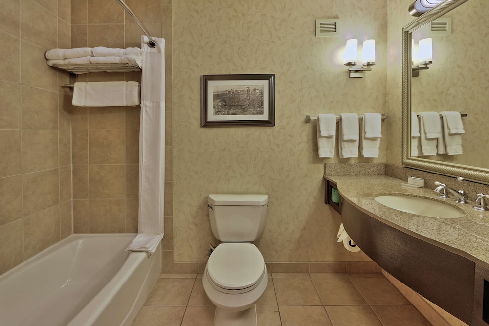 Hilton Garden Inn Las Cruces - photo 25