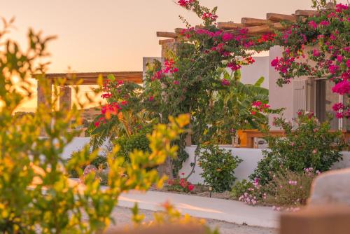 Milis Houses — 4-Star Luxury Hotel in Adamas, Greece