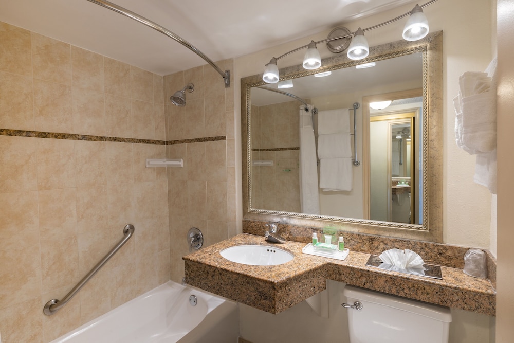 Holiday Inn Port of Miami Downtown Hotel - photo 34
