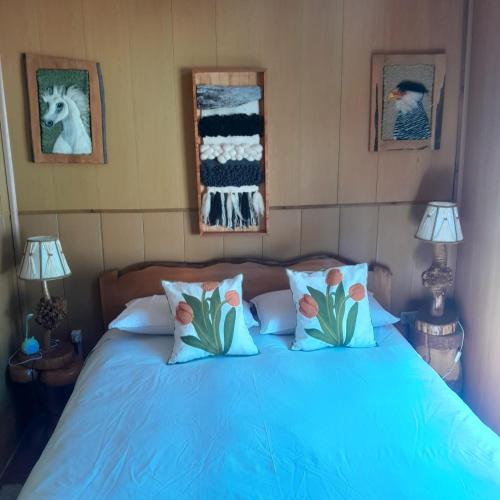 Cabaña Vista Hermosa Neltume in Panguipulli, Chile