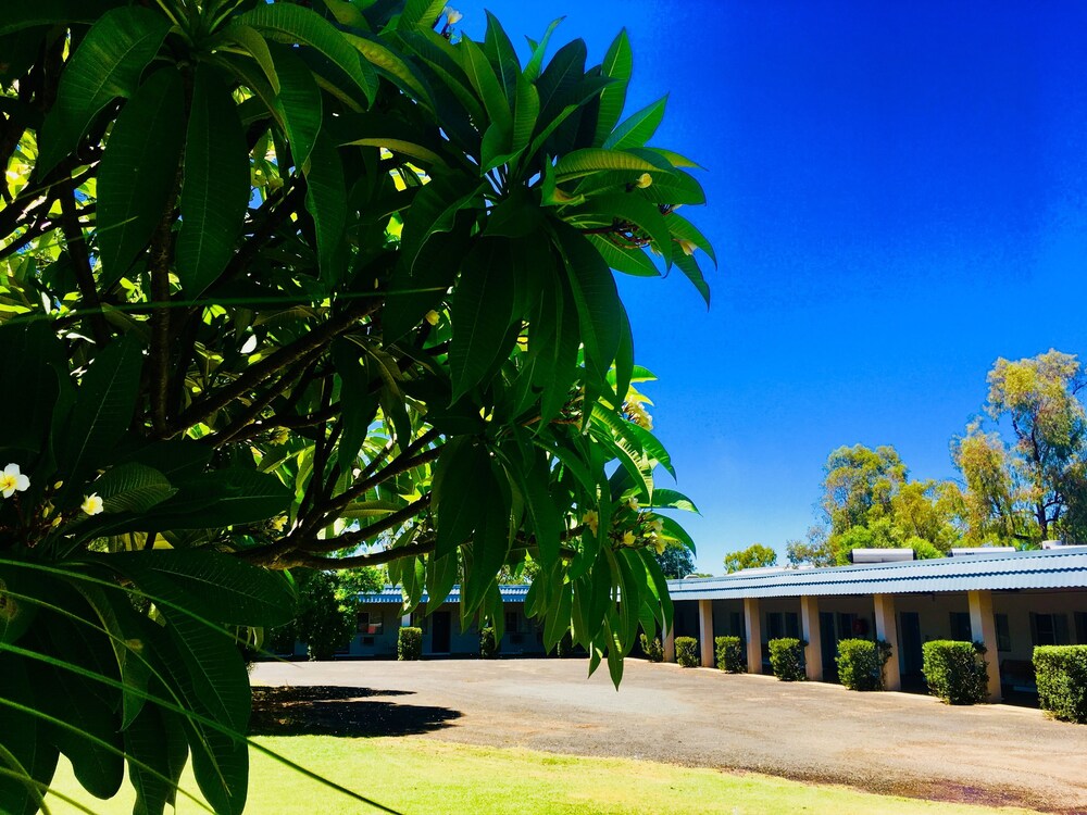 Balonne River Motor Inn — hotel in St George