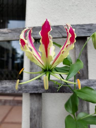 Serenity Place B&B and Conference wedding venue — 4-Star Luxury Hotel in Durban, South Africa