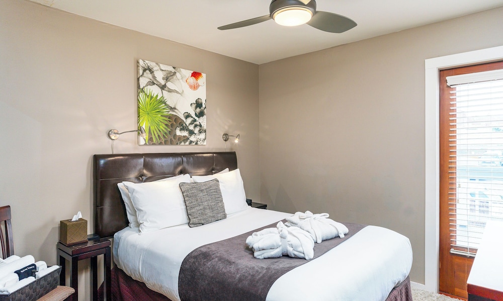 Bird Rock Hotel - photo 21