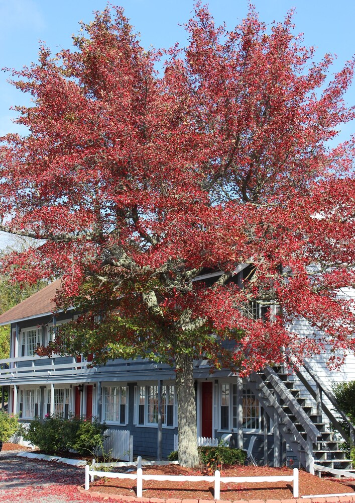 Red Horse Inn - photo 38