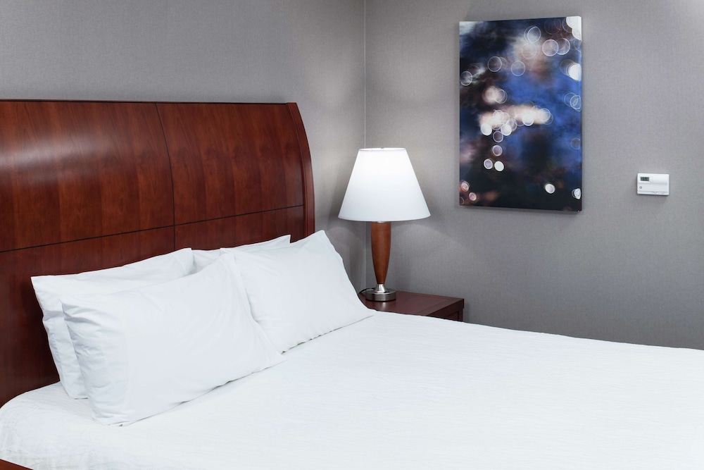 Hilton Garden Inn Naperville Warrenville - photo 11