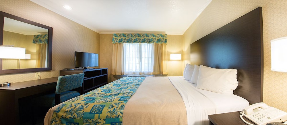 Regency Inn SFO Airport - photo 8