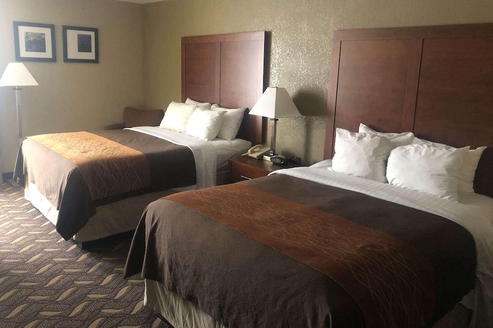 AmericInn by Wyndham Memphis East - photo 7