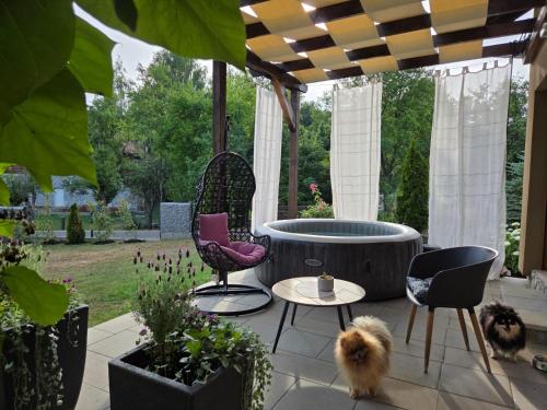 Donna - last minute hotel in Rakovica