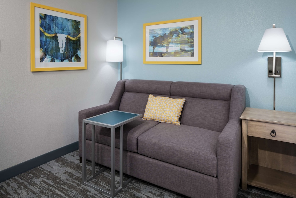 Hampton Inn Austin Round Rock - photo 20