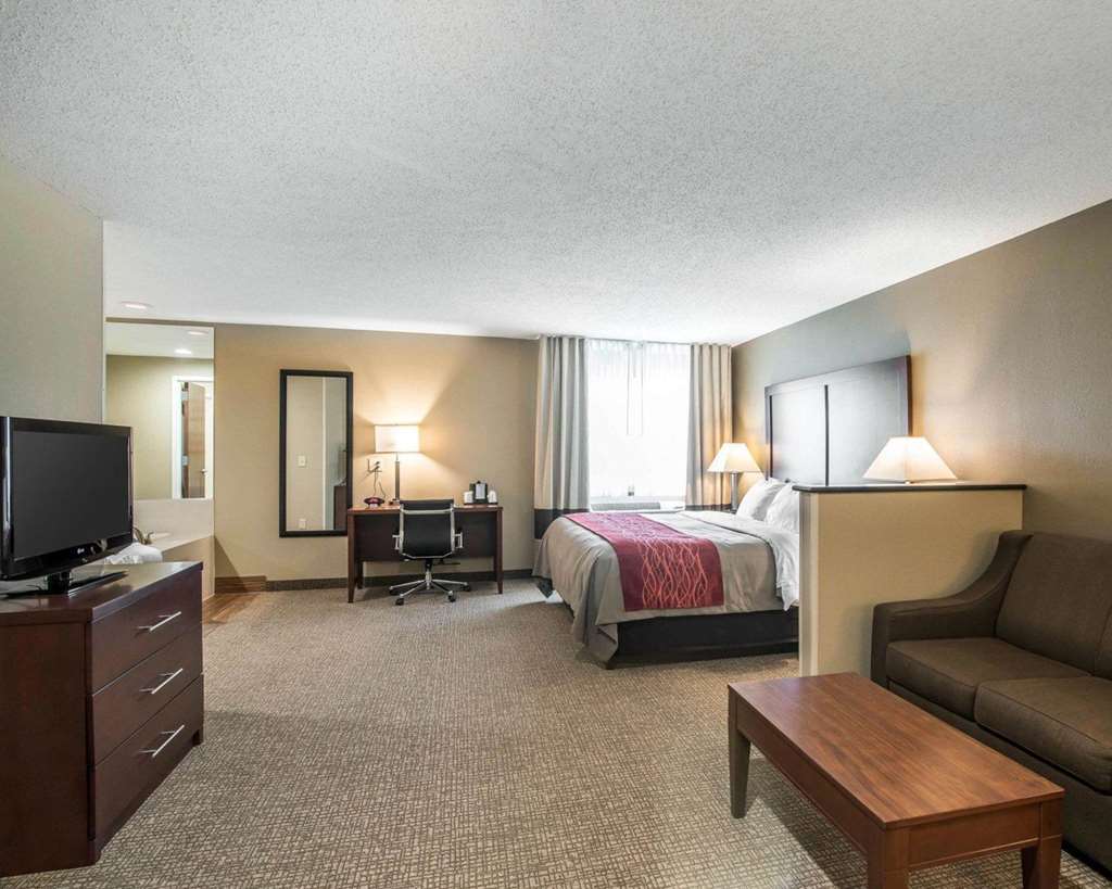 Comfort Inn Saugerties - photo 28