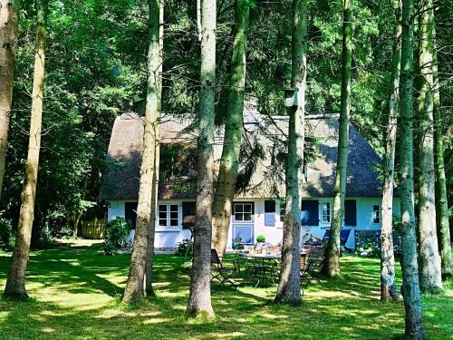 Küstenwäldchen - carbon neutral hotel in Kappeln
