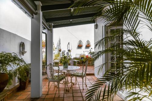Fig Tree — 4-Star Luxury Hotel in Pretoria, South Africa