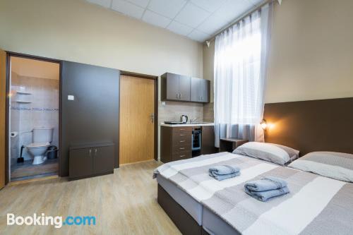 Penzion Modrá růže — hotel in Uherske Hradiste