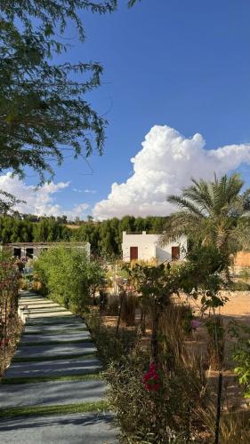 Damas Resort in Muzayri`, United Arab Emirates