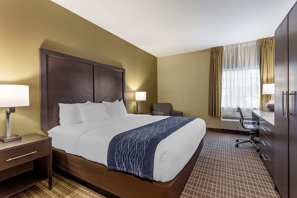 Comfort Inn St. Robert Fort Leonard Wood - photo 5