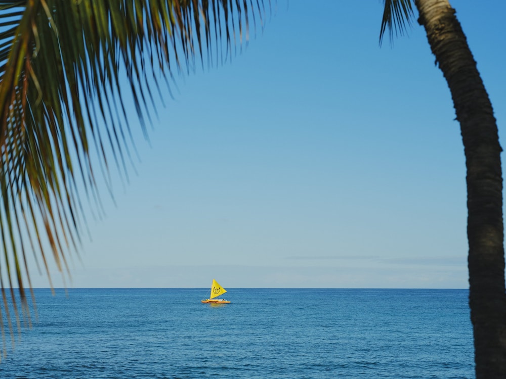 Kona Village A Rosewood Resort - photo 241