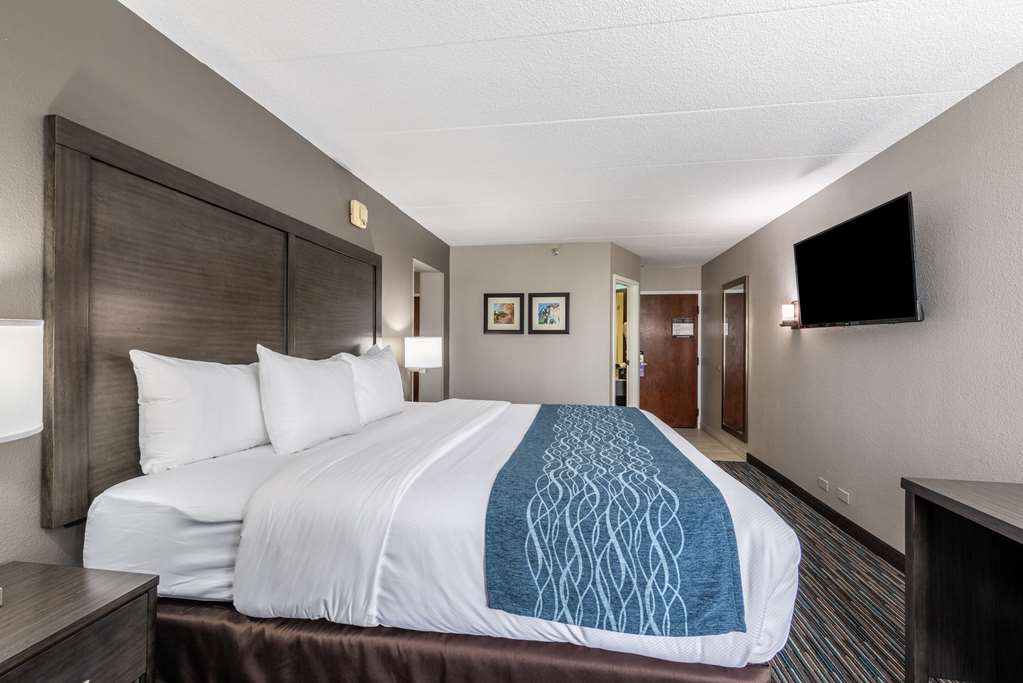 Comfort Inn Chicago Schaumburg O'Hare Airport - photo 25