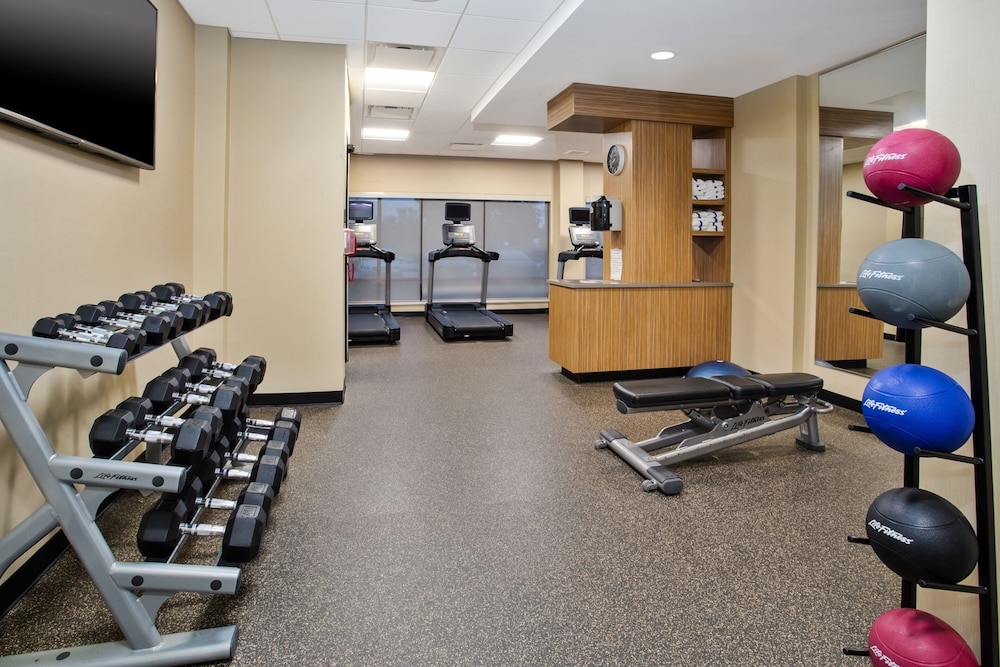 TownePlace Suites by Marriott Detroit Belleville - photo 40
