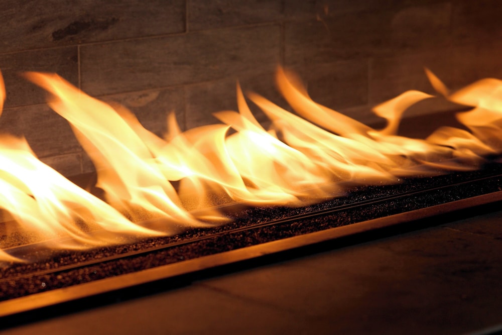 The Westin Chicago North Shore - photo 2