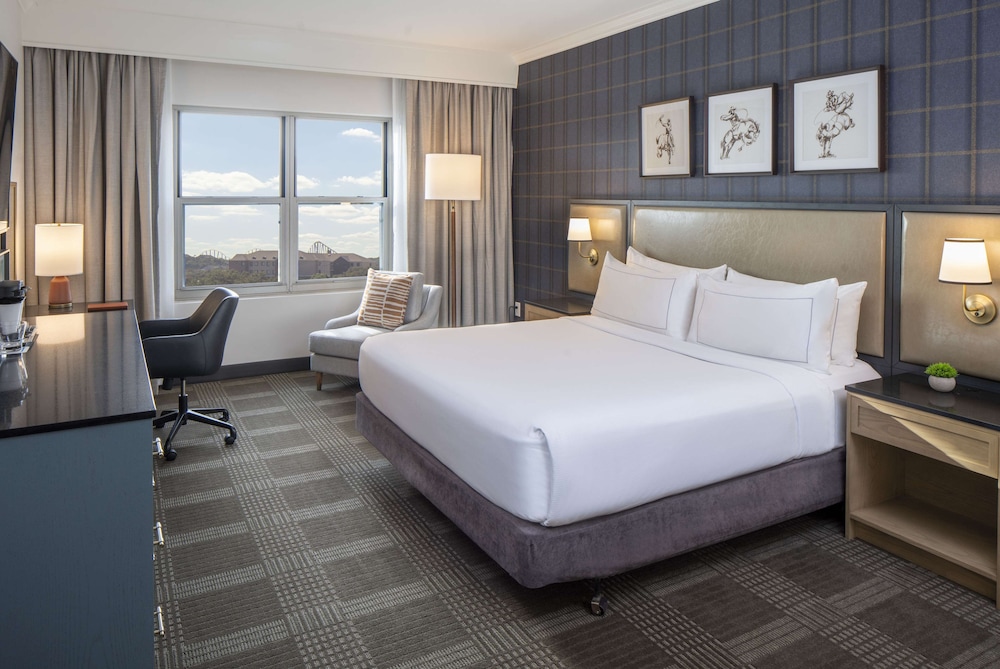 Hilton San Antonio Hill Country - photo 22
