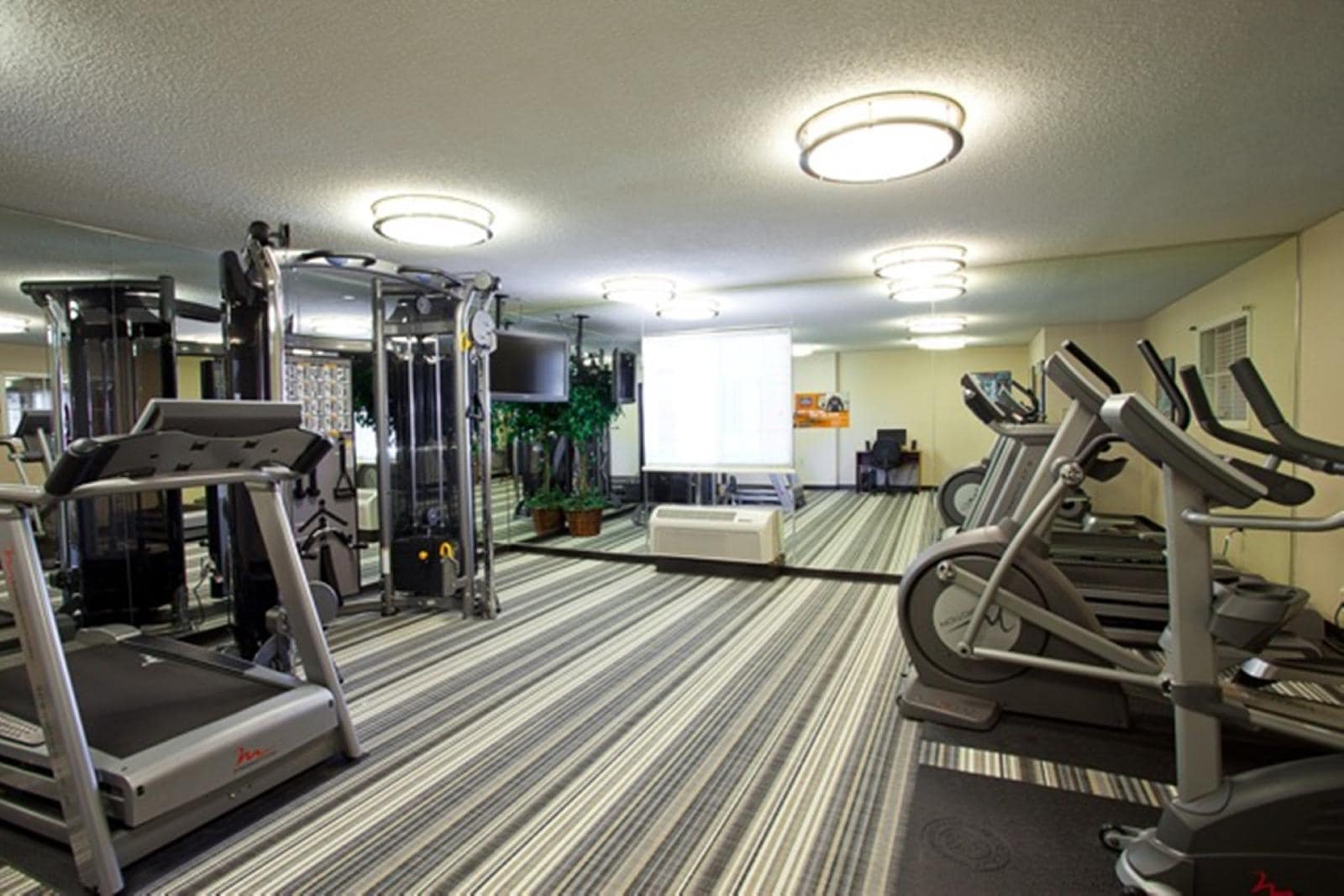 Sonesta Simply Suites Houston W Beltway - photo 19