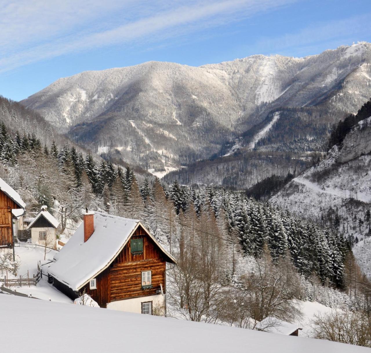 Romantische Ferienhutte Nationalpark Kalkalpen Sonnig 2 Schlafzimmer Wlan — 4-Star Luxury Hotel in Weyer, Austria