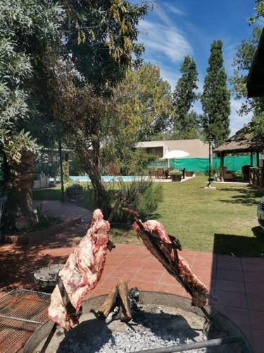 Entre Viñas — Lujan — photo 4