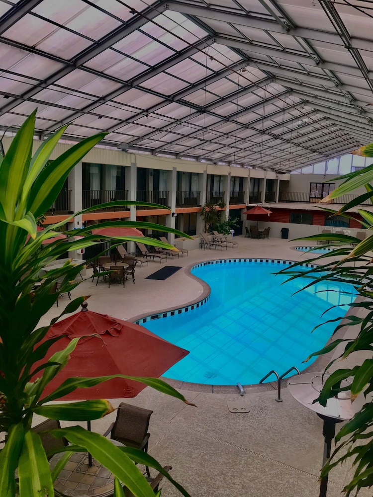 Vettecity Hotel — Bowling Green