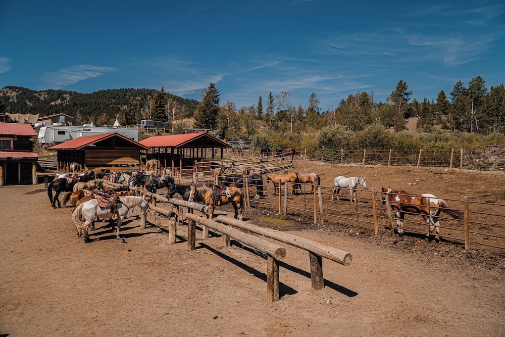 Heart 6 Ranch - photo 85