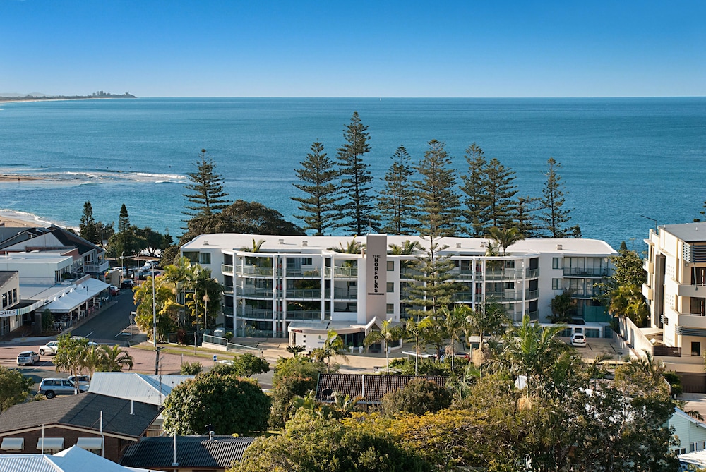 Norfolks On Moffat Beach — Moffat Beach